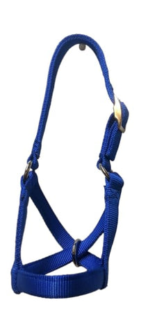 Cattle Halter Newborn Calf Yearling Cow Bull (Calf, Blue) Cattle Halter Newborn Calf Yearling Cow Bull (Calf, Blue)