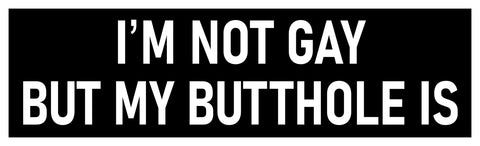 I'm Not Gay But My Butthole Is Bumper Sticker 2 Sticker Deal 3x9 and 2x2 Funny Car Sticker I'm Not Gay But My Butthole Is Made in USA