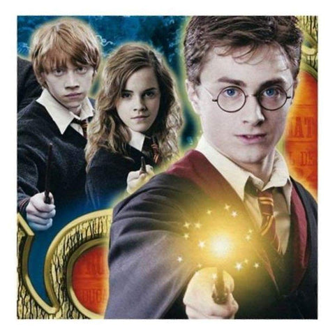 Harry Potter Luncheon Napkins Party Supplies Harry Potter Luncheon Napkins Party Supplies