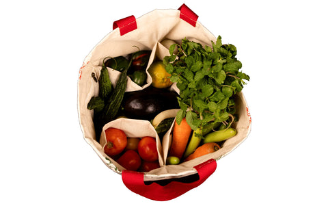 Earthsave Multi Pocket Vegetable Bag - Pomrad | Reusable Fridge/Refrigerator Storage Bag/Pouches for Fruits, Vegetables & Accessories