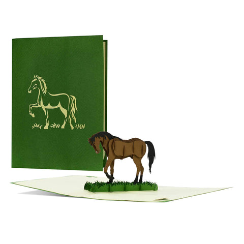 Birthday Card For Daughter With 3D Horse I Voucher for Equestrian Gifts|Birthday Gift for Horse Lovers, Riders and Girls| F20 Birthday Card For Daughter With 3D Horse I Voucher for Equestrian Gifts|Birthday Gift for Horse Lovers, Riders and Girls| F20