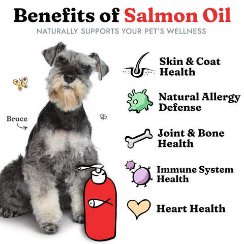 Salmon Oil for Dogs & Cats - Healthy Skin & Coat, Fish Oil, Omega 3 EPA DHA, Liquid Food Supplement for Pets, All Natural, Supports Joint & Bone Health, Natural Allergy & Inflammation Defense, 32 oz