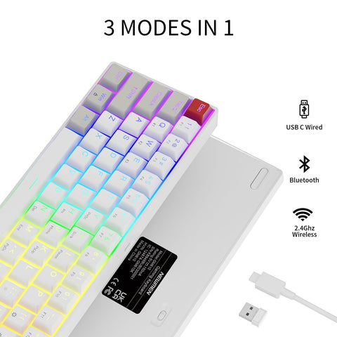 NEWMEN GM610 Wireless Mechanical Keyboard,60% USB C Wired/Bluetooth/2.4Ghz RGB Backlit Compact Hot Swappable Keyboard,White Anti-Ghosting PC Mac Windows Android Gaming Keyboard(Red Switches)