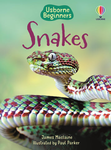 Snakes (Beginners) Snakes (Beginners)
