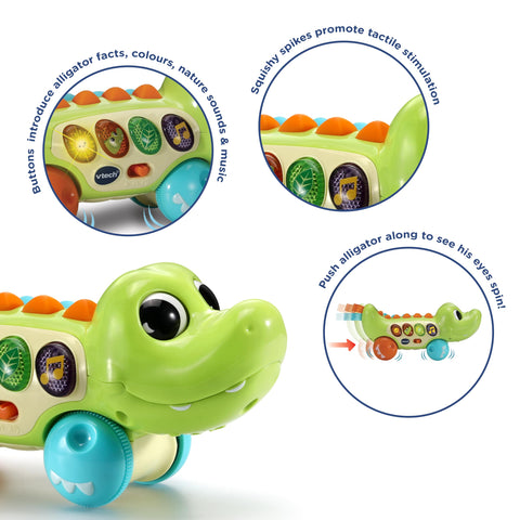 VTech Baby Squishy Spikes Alligator, Push Along Baby Toy with 4 Interactive Buttons, Lights, Sounds, Colours & Songs, Sensory Toy with Textures, Gift for Babies 6, 9, 12, 18 months +, English version