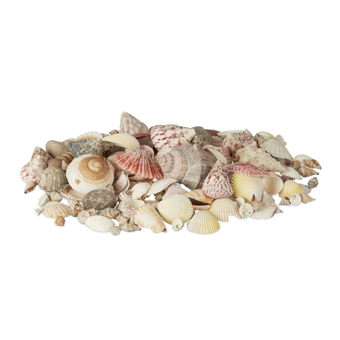 Relaxdays Decor Seashell Set, Mix with Large Sea Snails, Scallops, Beach Crafting Decoration, Maritime, 1 kg, Colourful Relaxdays Decor Seashell Set, Mix with Large Sea Snails, Scallops, Beach Crafting Decoration, Maritime, 1 kg, Colourful