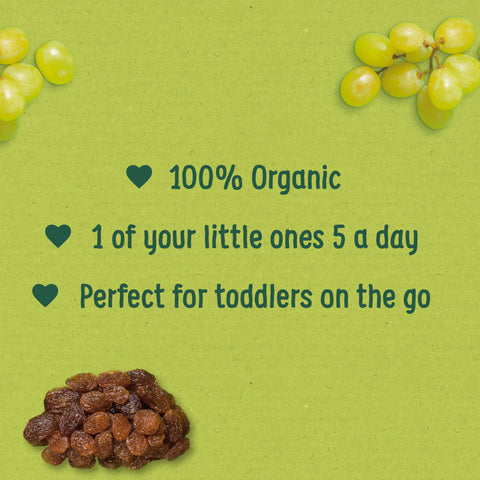 Organix Mini Organic Raisin Fruit Toddler Snack Boxes 12+ Months Multipack 12x14g (Pack of 4)