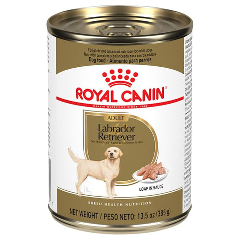 Royal Canin Breed Health Nutrition Labrador Retriever Loaf in Sauce Wet Dog Food, 13.5 oz., Case of 12
