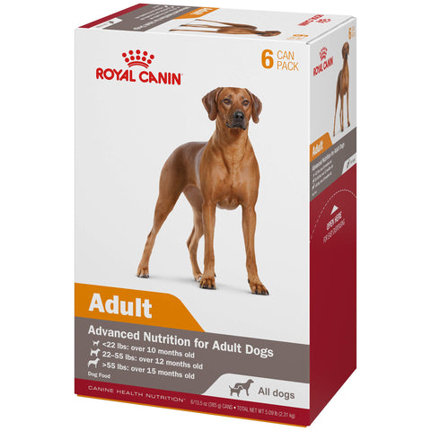 Royal Canin Canine Health Nutrition Adult In Gel Canned Dog Food, 13.5 oz can (6-pack)