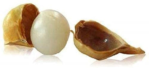 PLANET07 Kashmiri Lehsun Ayurvedic Lehsun Herbal Lehsun Garlic 450 gram Pack White