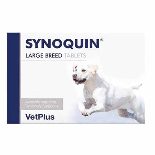 Synoquin Tasty Large Breed x 1