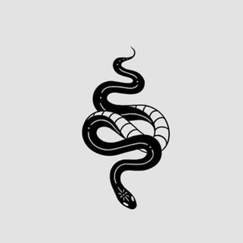 2 Pieces Of Small Snake Herbal Semi-Permanent Waterproof Long-Lasting Simulation Juice Tattoo Stickers For Men