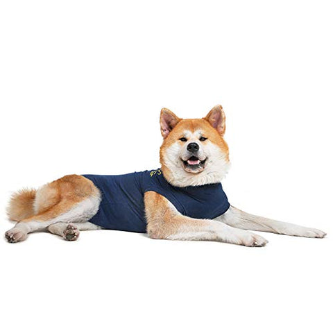 MPS Medical Pet Shirt Dog, Surgery Recovery Suit, Blue, XX-Large