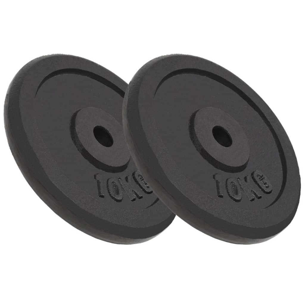 vidaXL Cast Iron Weight Plates - 2 pcs of 10 kg Each, Coated with Scratch-Resistant Enamel, Ideal for Barbells/Dumbbells/Curl Bars - Perfect for Home & Gym Use