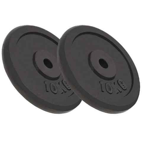 vidaXL Cast Iron Weight Plates - 2 pcs of 10 kg Each, Coated with Scratch-Resistant Enamel, Ideal for Barbells/Dumbbells/Curl Bars - Perfect for Home & Gym Use