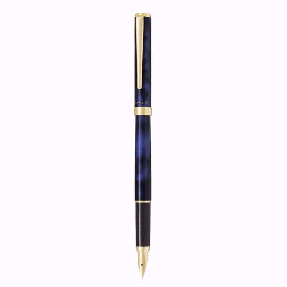 PILOT Marble Fountain Pen, Black&Blue (FCAN-5SR-BL-F)