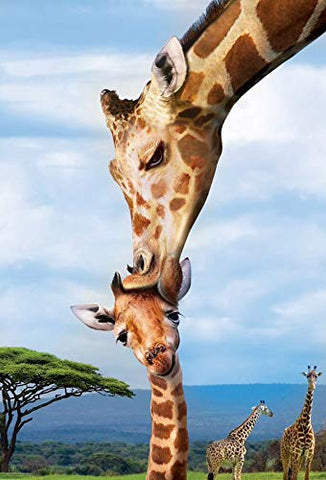 Eurographics 250 Piece African Animal Puzzle Set - Tiger and Giraffe Jigsaw Puzzles - Two 250 Piece Wildlife Puzzles for Kids and Adults. Mother Tiger with Baby and Giraffe Mother's Kiss