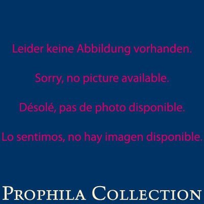 Lighthouse MAXIMUM MAX7C Stamp Stock Pages- 5 Pages