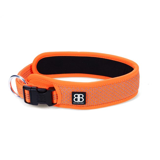 Active Light Cotton & Mesh Dog Collar, Lightweight and Adjustable, Comfortable for Dogs | Orange | Large