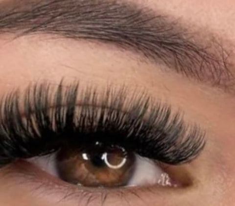 Generic Royal Beauty Co. False Eyelashes, Curled, Black