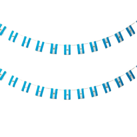 Argentina Flag 40pcs Argentina Flag Garland Argentina 11.4M Bunting Argentina National Flag European Flags 14x21cm for Garden Bars Decorations