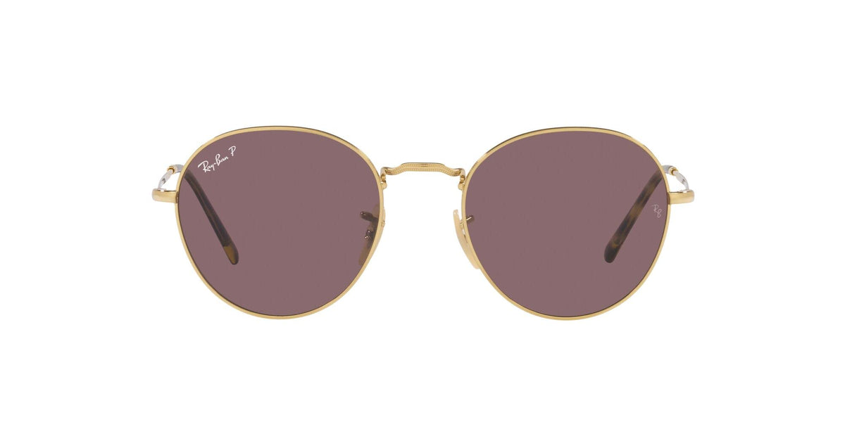 Ray-Ban RB3582 David Round Sunglasses, Gold/Dark Violet Polarized, 53 mm