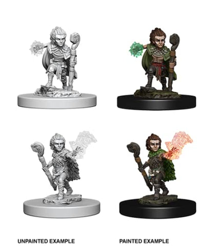 Pathfinder Deep Cuts Unpainted Miniatures: Wave 5: Gnome Male Druid