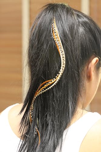 5 Rainbow Remix 6"-12" Feathers Bonded Together At the Tip for Hair Extension Includes 2 Silicon Micro Beads.