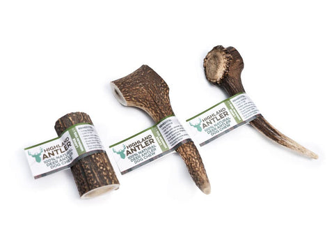 Highland Antler - Natural Antler Dog Chew. Pack of 2x Large (150-220g) Naturally Shed Red Deer Antler, Long Lasting Dog Chew Bone With Calcium And Minerals (Shape may vary)