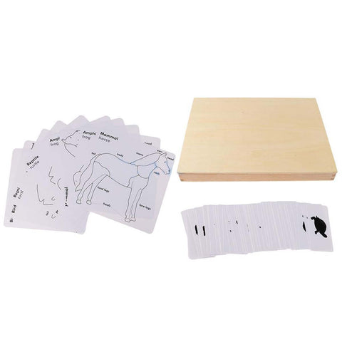Montessori Early Learning Education Toy Mammal/Amphibian/Reptile Animal Learning Cards Montessori Toys for Toddlers