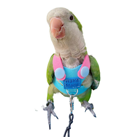Bird Flight Harness Vest, Parrot Flight Suit with Leash for Parakeets, Bird Flying Clothes with Rope and Handle for Outdoor Activities Training, Anti Bite (with Rope, S)