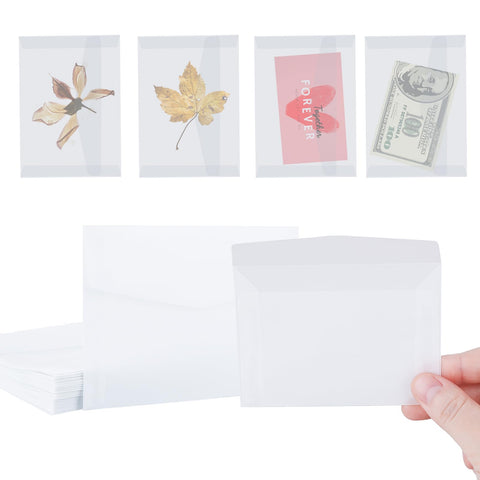 100 Pcs Glassine Envelopes, 7x10cm / 3.9 x 2.7 Inches Clear Envelopes for Seeds Coin Collecting Lottery Ticket Stamp Card, White Translucent Paper Envelopes Holder Mini Window Envelopes