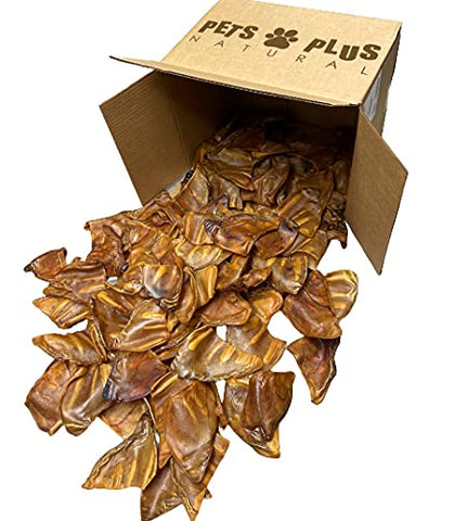 All Natural Jumbo Whole Pig Ears for Dogs (100 Pack) - 100 Natural Pork Ear Dog Treat by Pets Plus Natural, 2.5 Pound (Pack of 1)