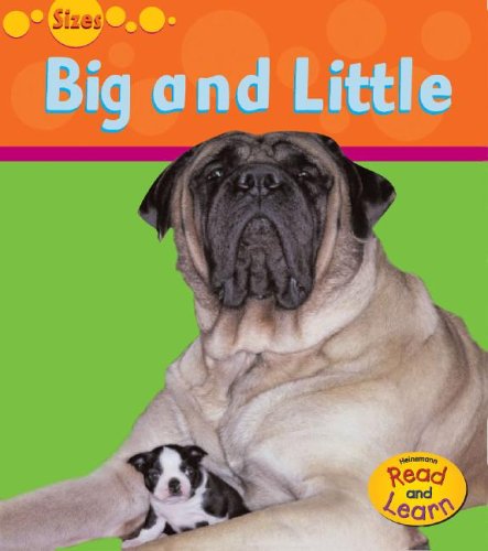 Big And Small (Heinemann Read and Learn)