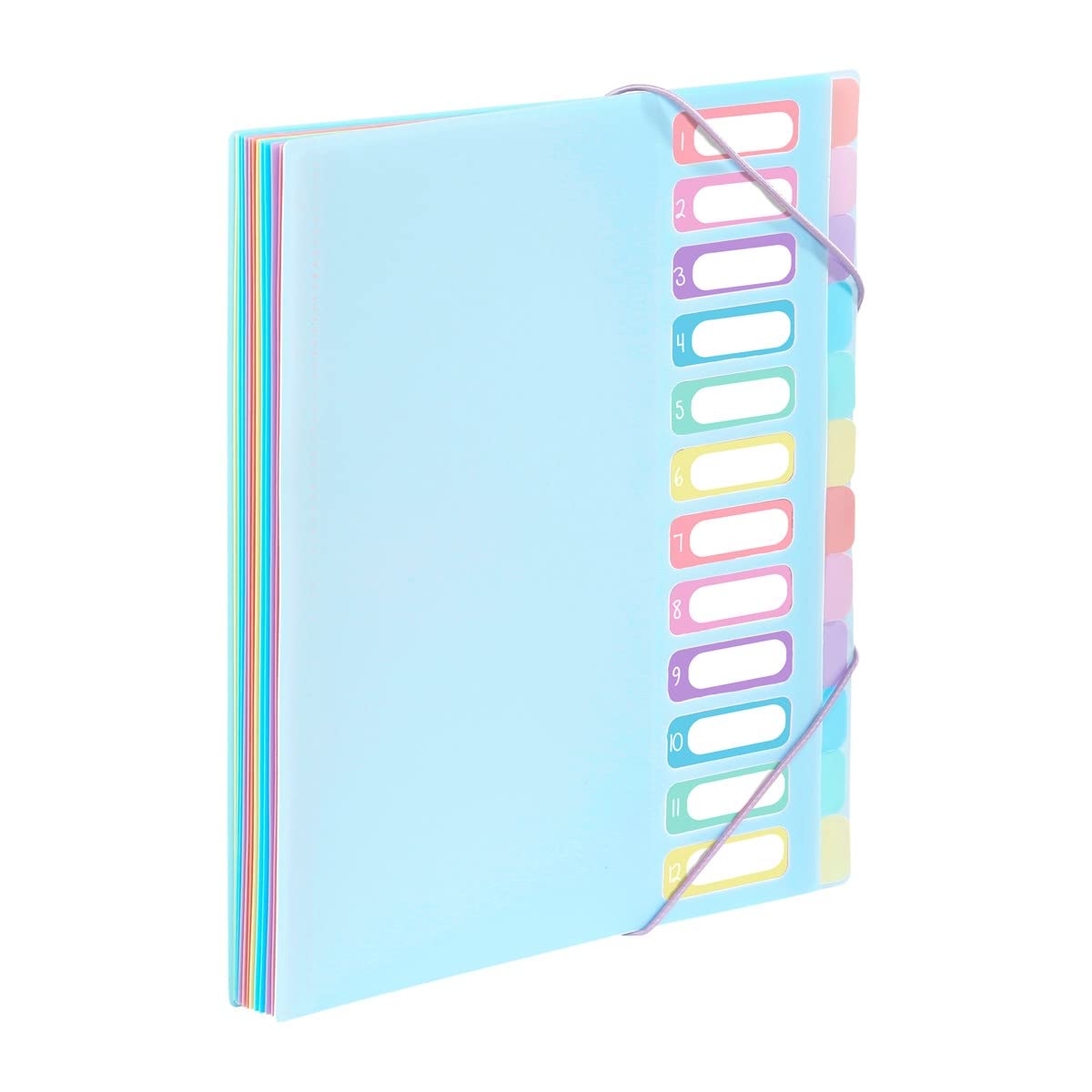 Viquel - A4 Document Folder with 12 compartments Rainbow Pastel