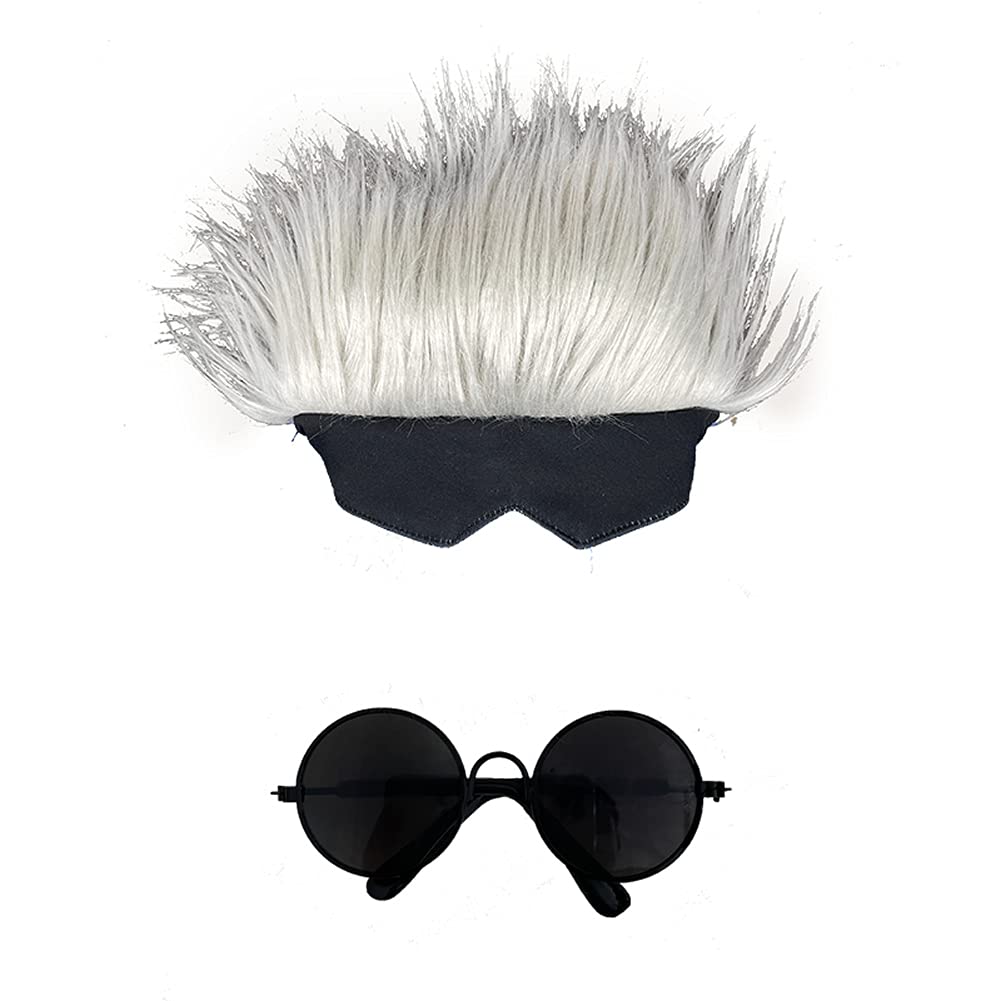 Gojo-Satoru Pet Costume for Cat Cosplay Dog Costume Gojo-Satoru Sunglasses Cat Headgear Halloween (Sunglasses + Wig Headgear, one Size)