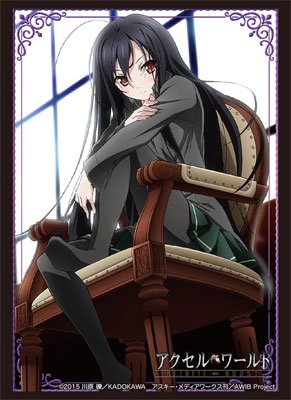 Accel World Infinite Burst Kuroyukihime Character Sleeve Collection HG Vol.1101