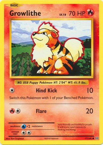 Pokemon - Growlithe (17/108) - XY Evolutions