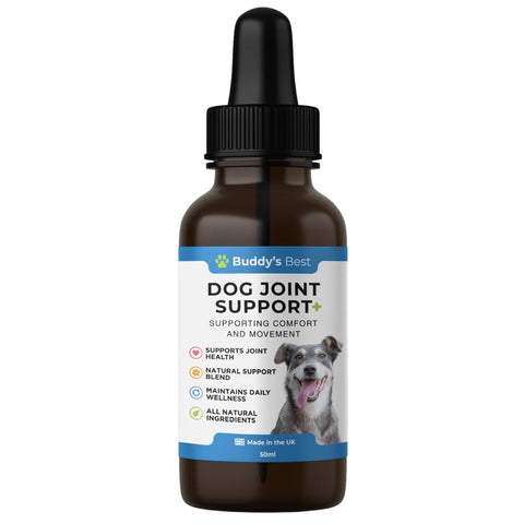 BUDDY'S BEST Dog Joint Support Drops | 50ml | Supports Healthy Mobility & Flexibility | Natural Ingredients for Overall Well-Being | Easy-to-Use Liquid Supplement for Dogs of All Breeds