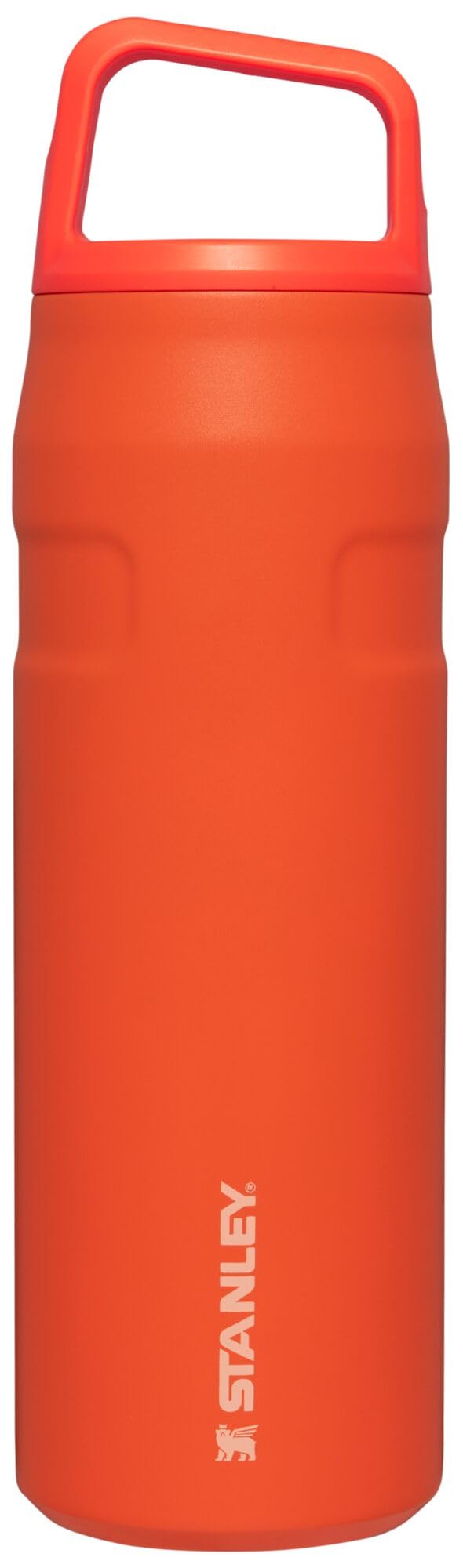Stanley IceFlow Cap and Carry Water Bottle 24 oz | Wide Mouth Twist Lid | Lightweight and Leakproof for Travel and Sports | Insulated Stainless Steel | BPA-Free | Tigerlily