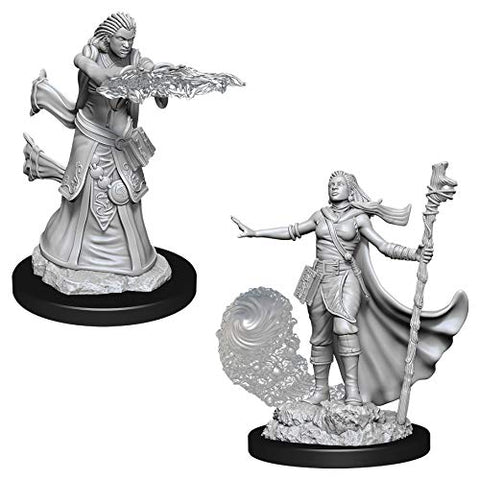 Dungeons & Dragons Nolzur's Marvelous Unpainted Miniatures Bundle: Male Human Wizard W11 + Female Human Wizard W11