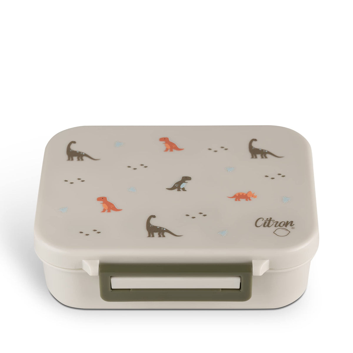 Citron Kids Lunch Box with Compartments 500ml - Premium Strong & Safe Materials BPA & Melamine-Free - Leak-Proof Snack Box with Compartments, Bento Lunch Box for Kids