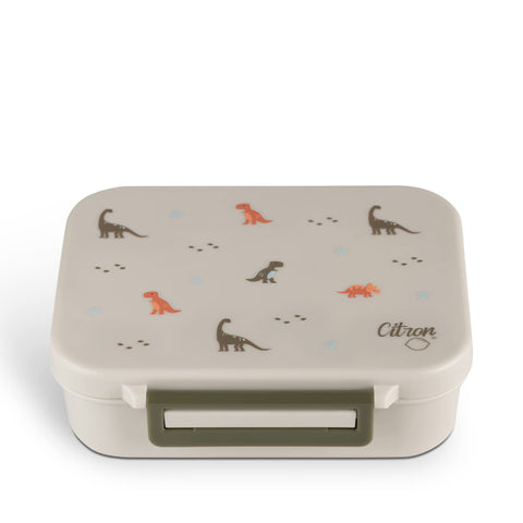 Citron Kids Lunch Box with Compartments 500ml - Premium Strong & Safe Materials BPA & Melamine-Free - Leak-Proof Snack Box with Compartments, Bento Lunch Box for Kids