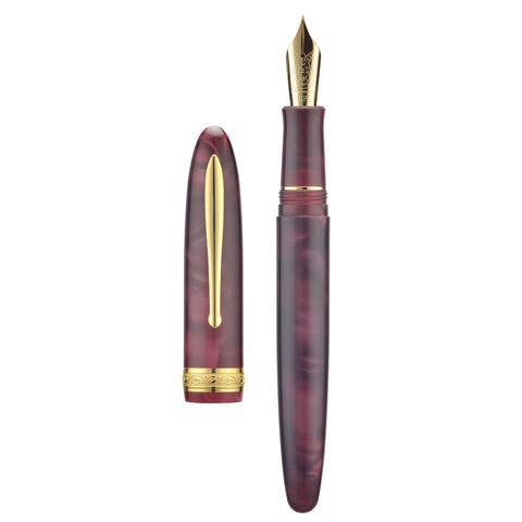 HONG DIAN Hongdian N9 Fountain Pen, Extra Fine Nib Gold Trim, Wine Red Color & Acrylic Design with Converter and Metal Pen Box Set