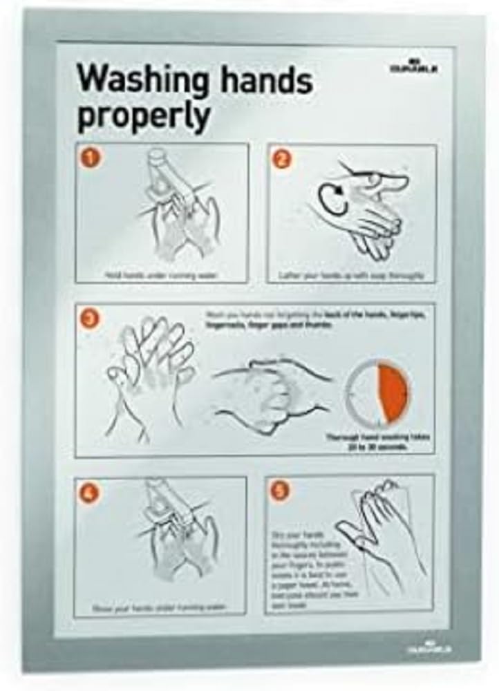 Durable DURAFRAME Self-Adhesive Magnetic Frame | A4 Format In Silver | Pack of 10 Frames | Document Frame for Professional Internal Signage