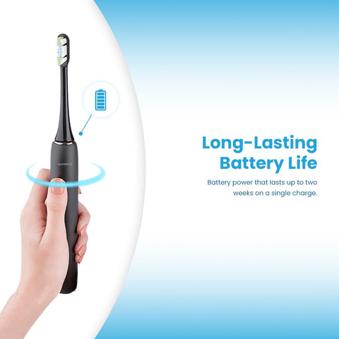 Alignerco Waterproof Rechargeable Sonic-Electric Toothbrush with USB Charger, Travel Case, and Extra Brush Head Blue, (Pack of 1)