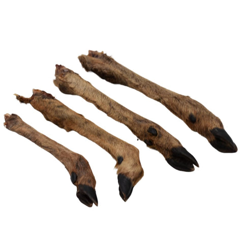 Express Pet Supplies Roe Deer Legs With Fur Small | 100% Natural Air-Dried Dog Treat | Small breeds Grain Free (6)