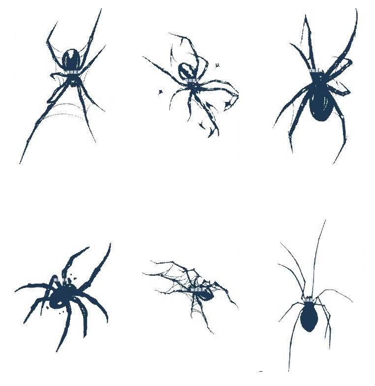 Herbal Juice Tattoo Dark Spider Tattoo Sticker Waterproof Long-Lasting Personality