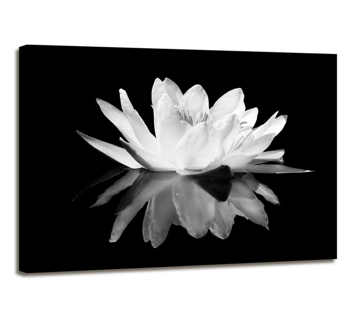 Flower Canvas Prints Art for Bedroom Lotus Flower Pictures Prints Black and White Floral Bloom Blossom Close Up Pictures Prints on Canvas Wall Decoration for Bedroom Framed