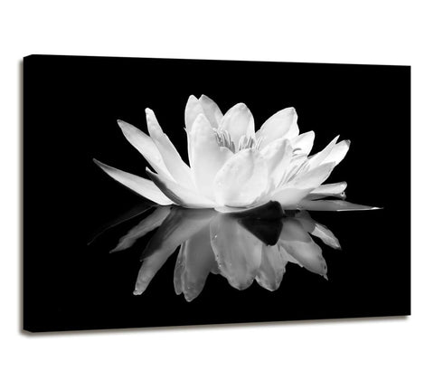 Flower Canvas Prints Art for Bedroom Lotus Flower Pictures Prints Black and White Floral Bloom Blossom Close Up Pictures Prints on Canvas Wall Decoration for Bedroom Framed